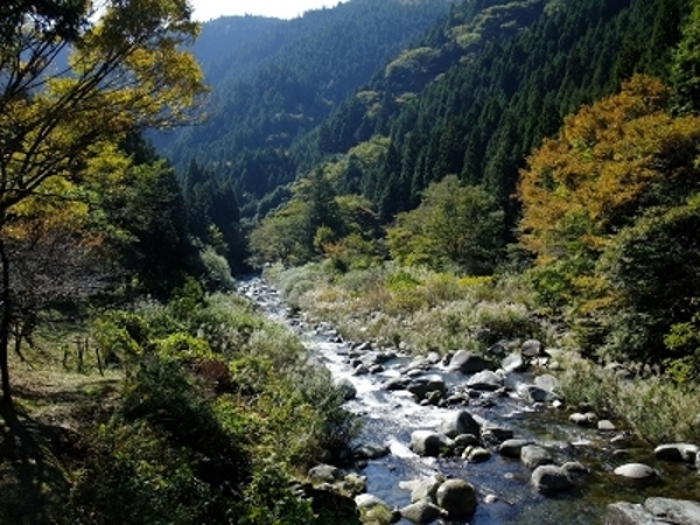 図１：森と川